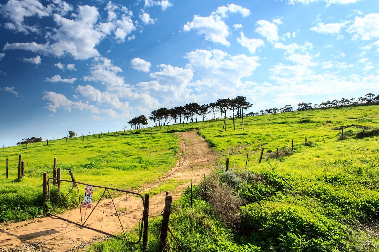 green grass field free photo