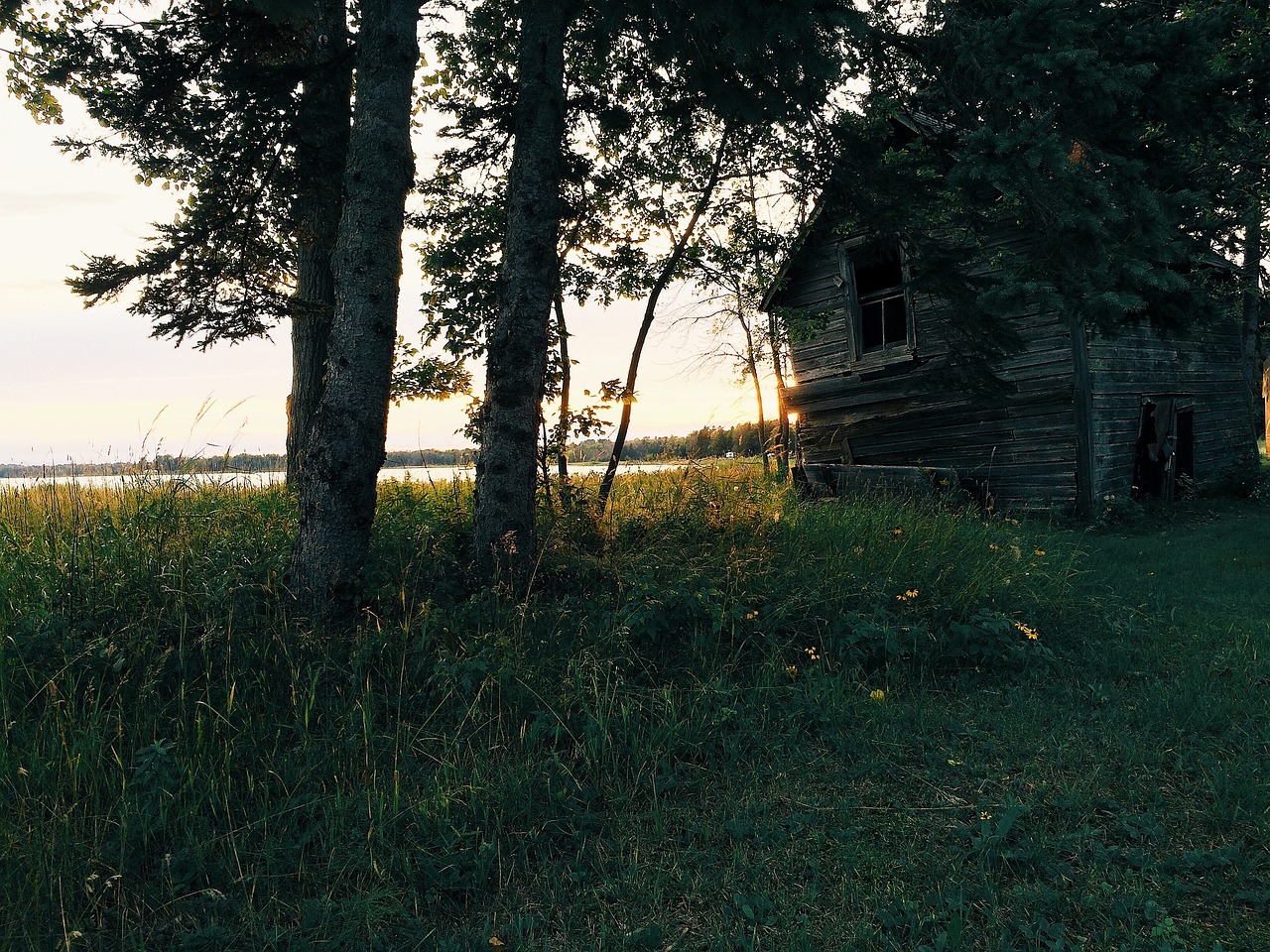 green grass rural free photo