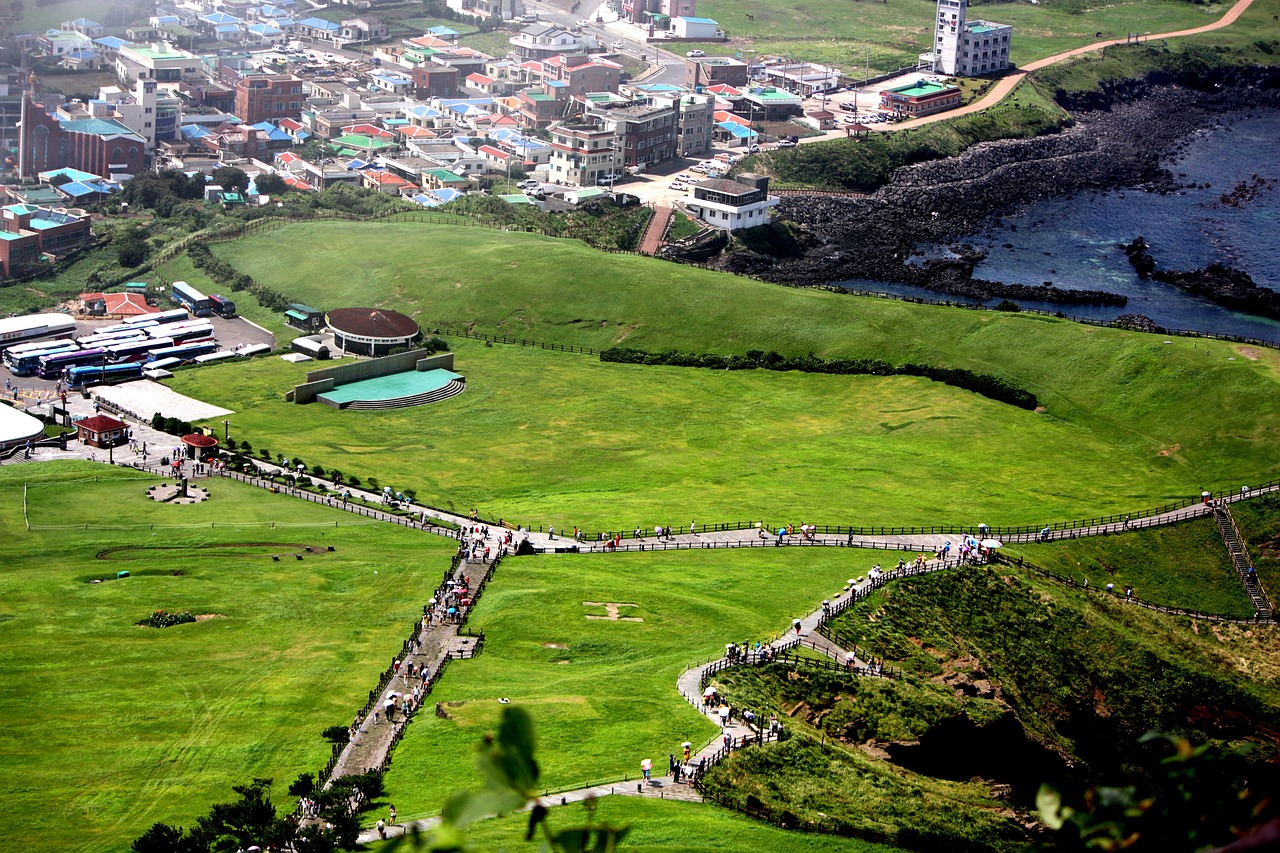 green a bird's eye view grassland free photo