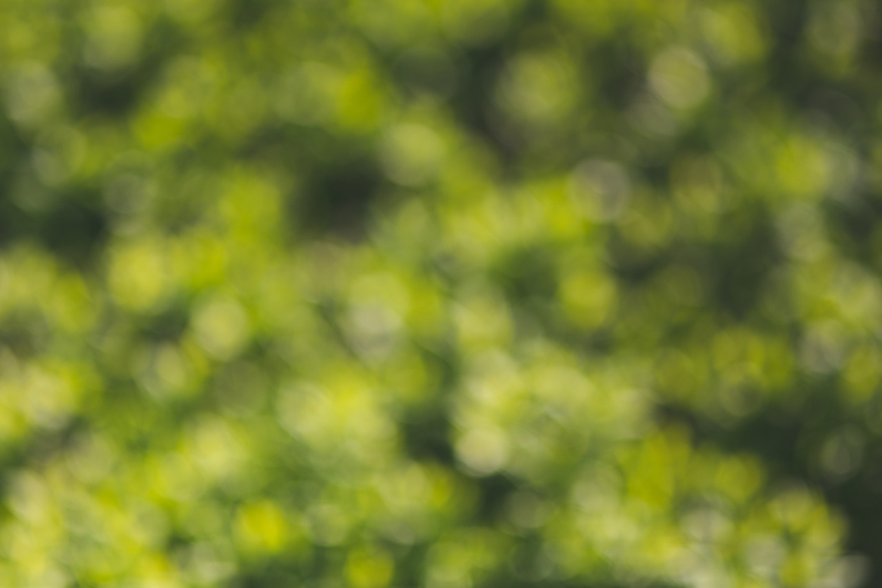 green bokeh background free photo