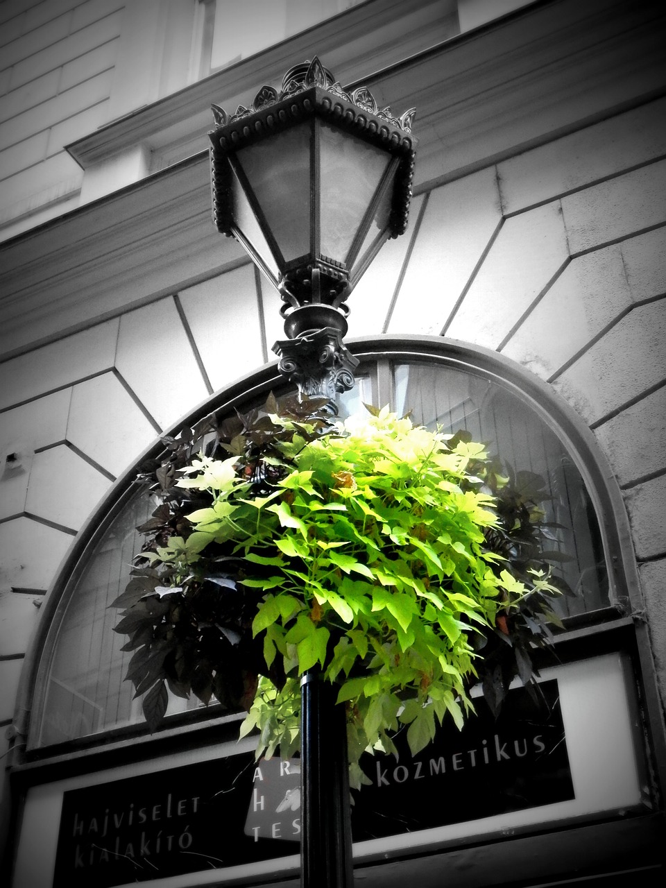 green lamp budapest free photo