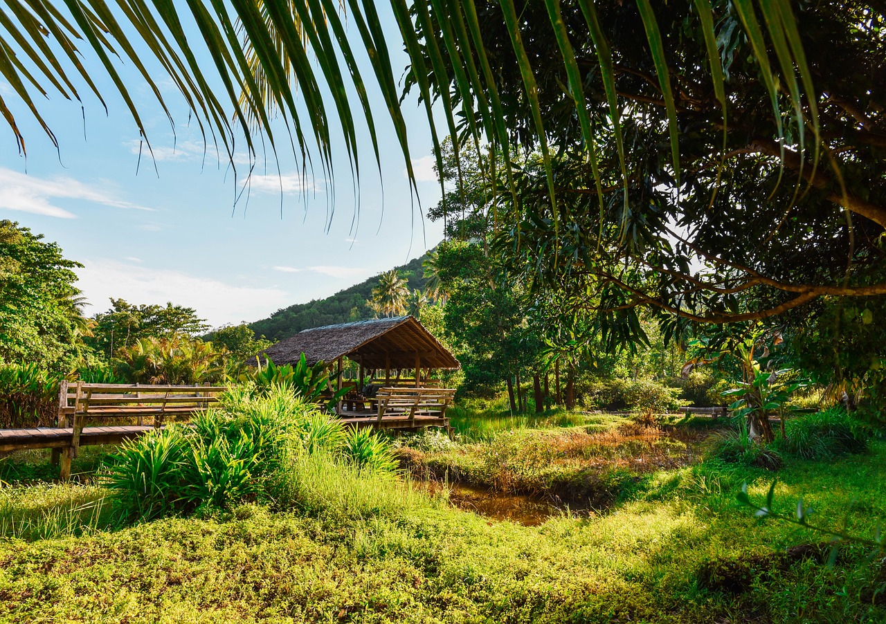 green grass nature free photo