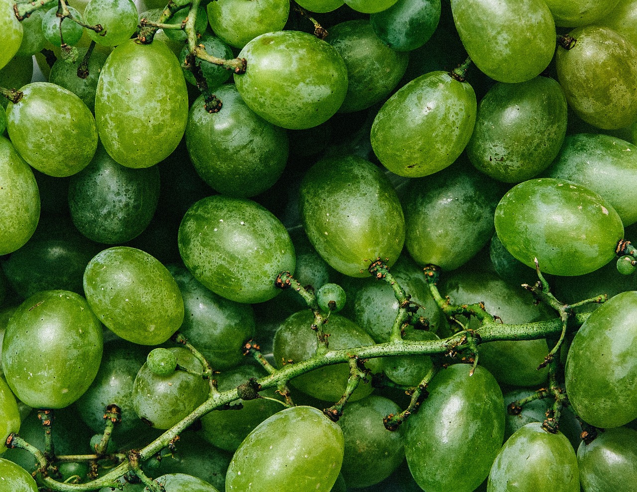 green grapes fruits free photo