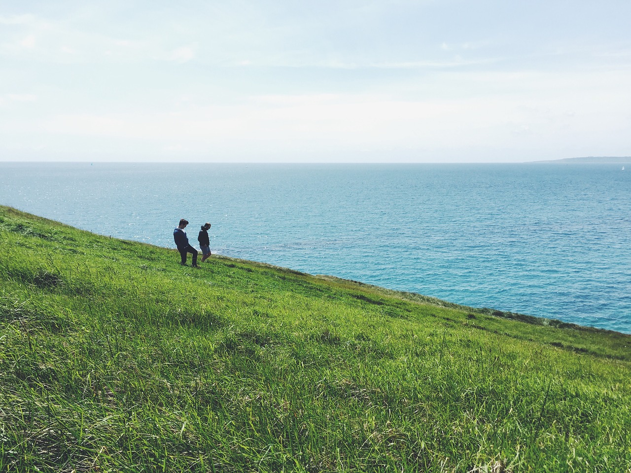 green grass nature free photo