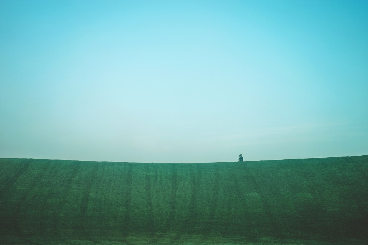 green grass field free photo