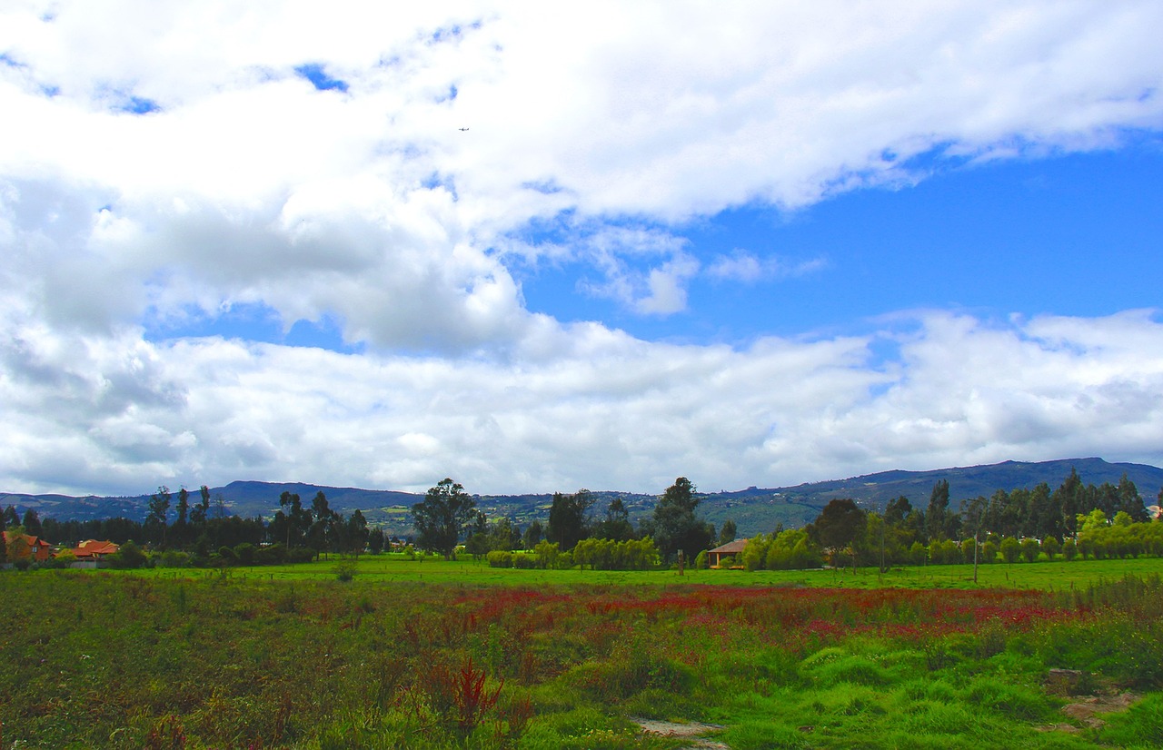 green landscape tree free photo