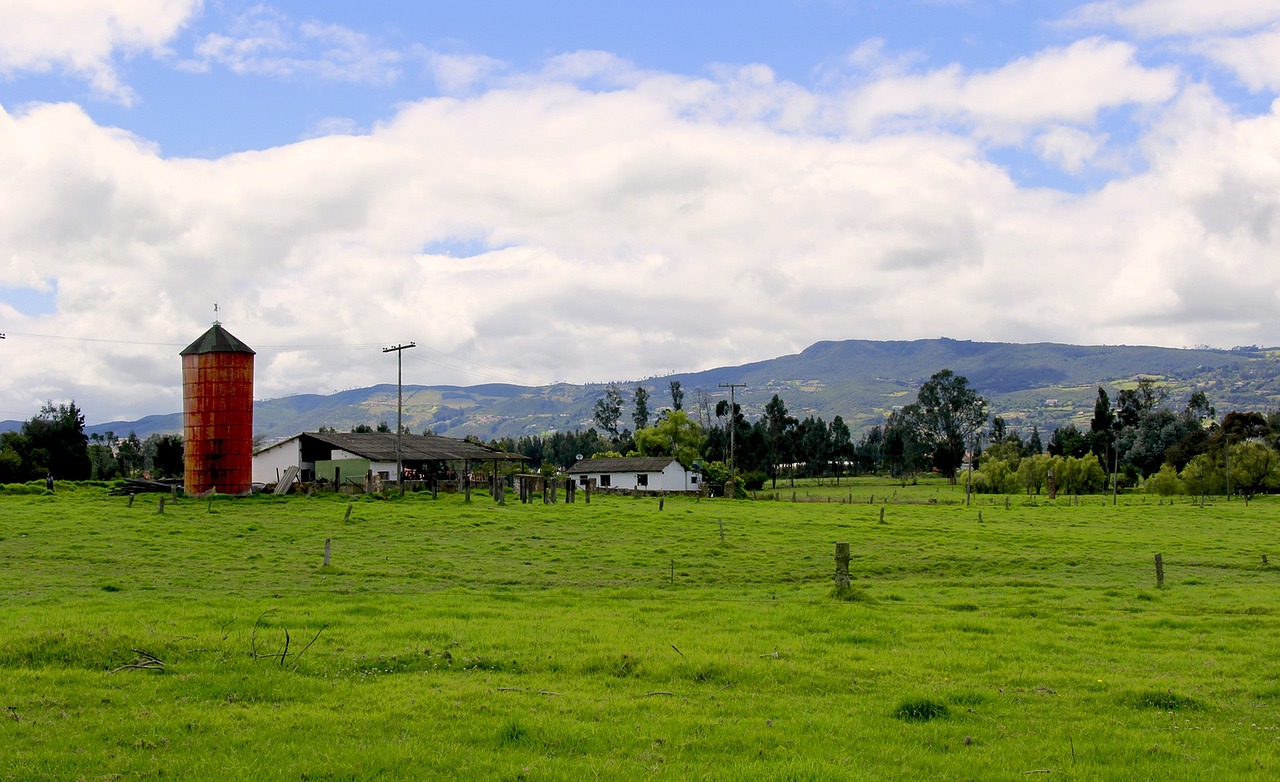 green landscape tree free photo