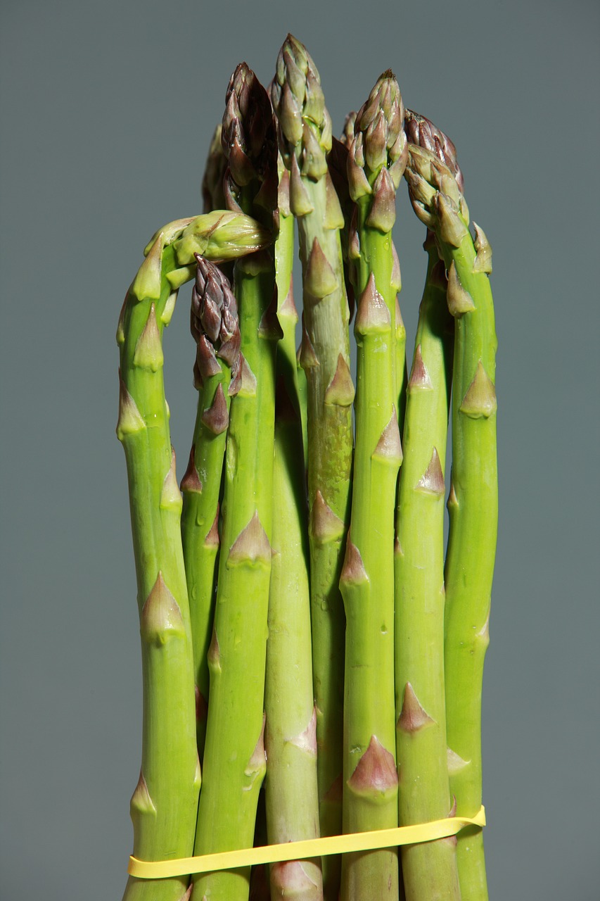 green asparagus asparagus green free photo