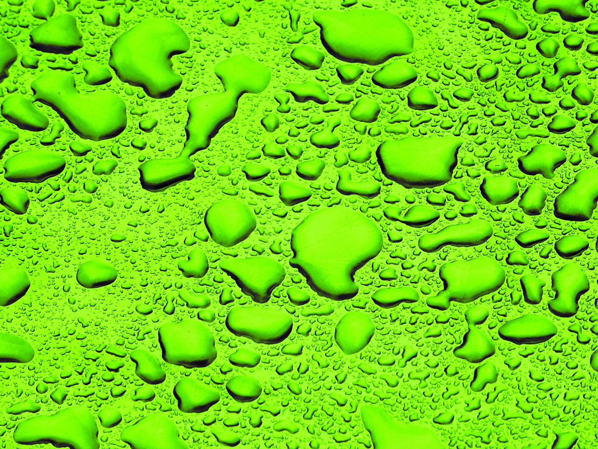 green rainfall rain free photo
