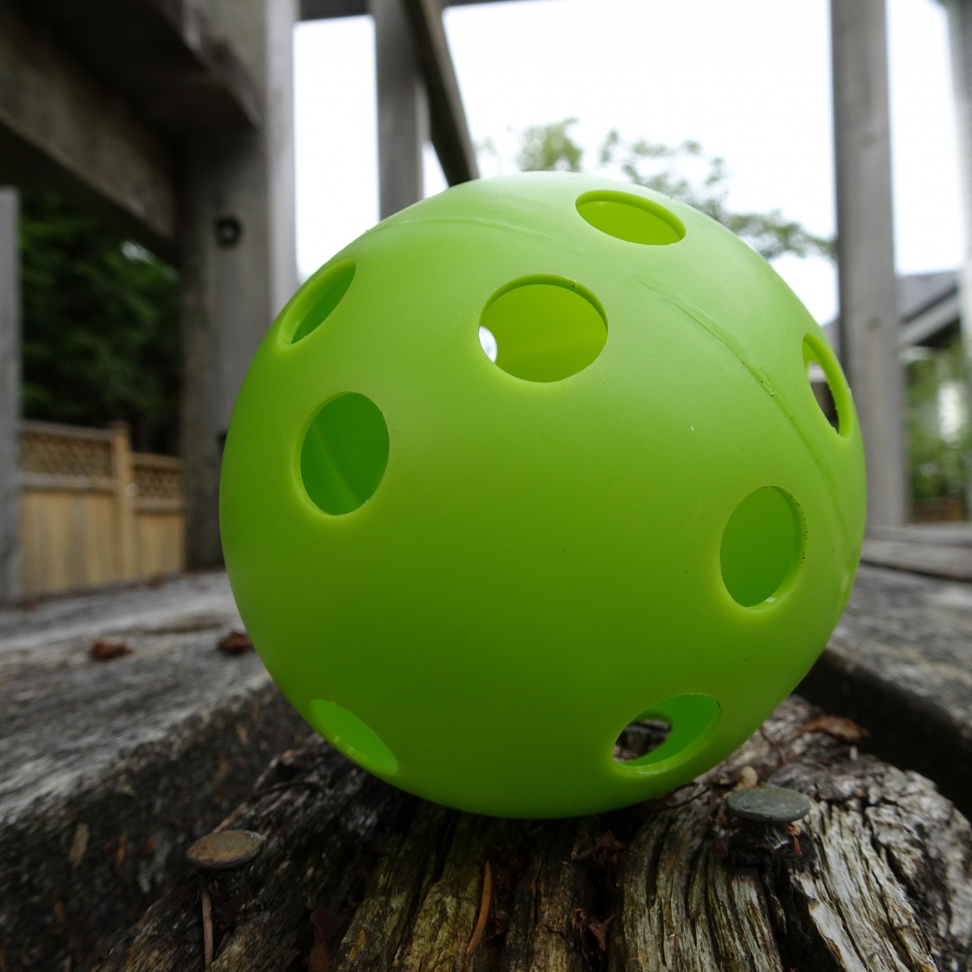 plastic green ball free photo