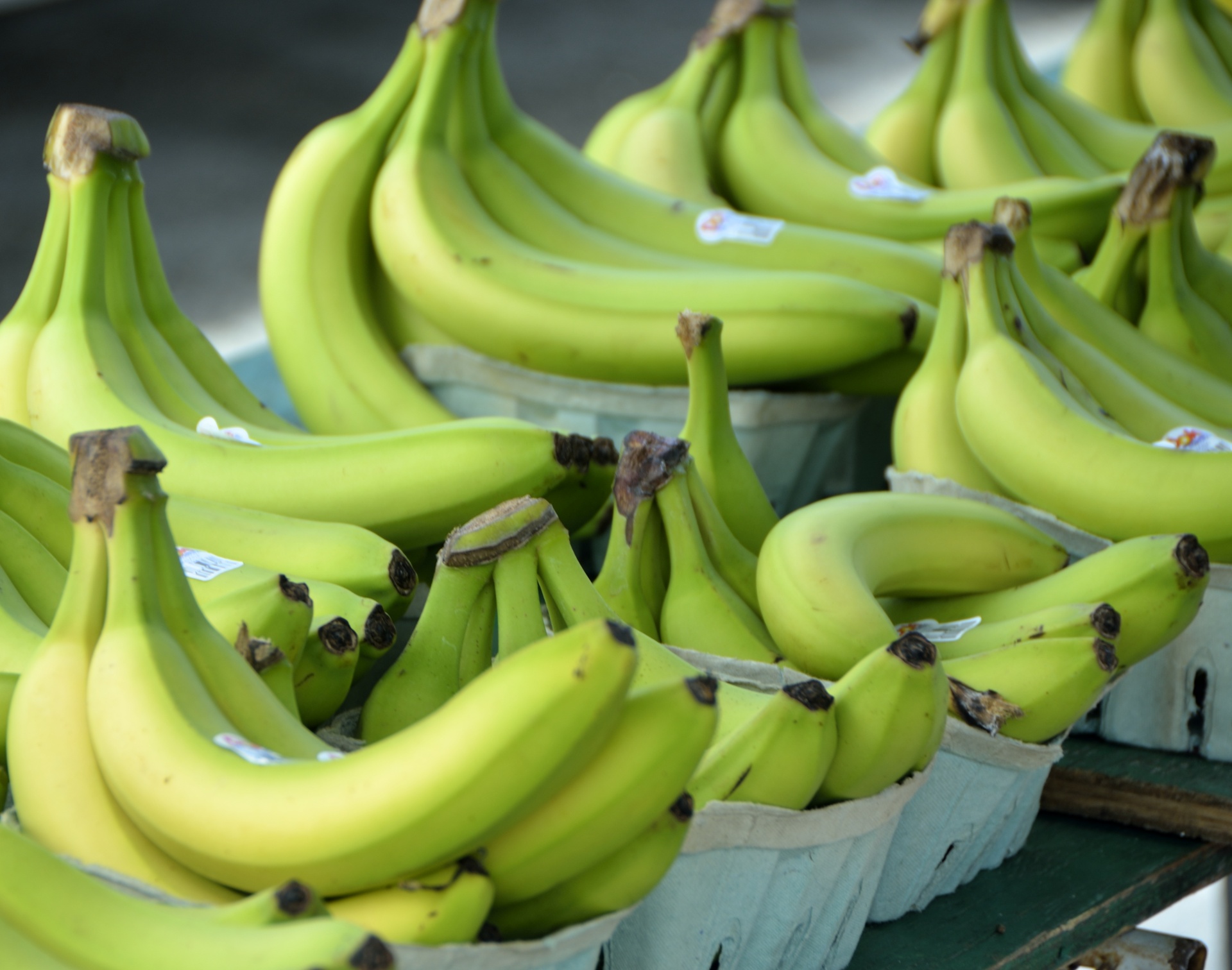 agriculture background bananas free photo