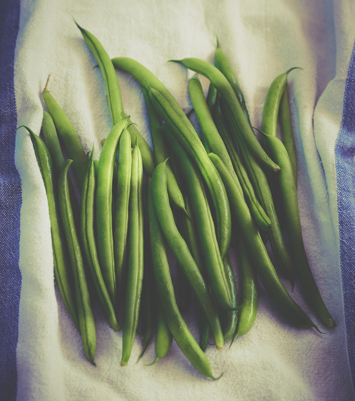 green beans cloth food free photo