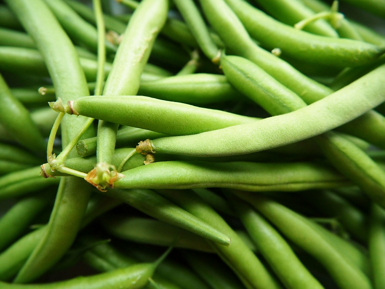 green beans vegetables garden free photo