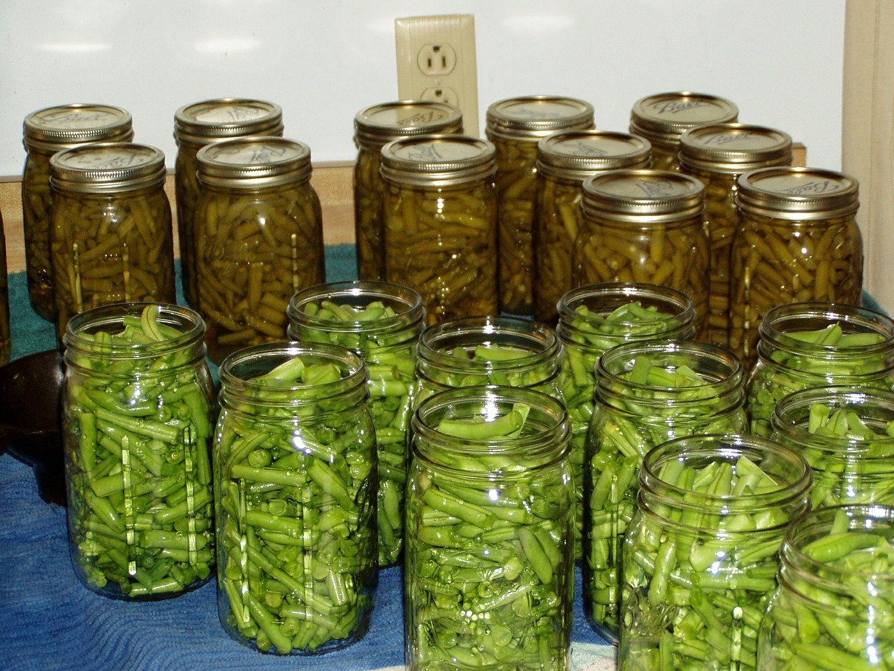 green beans canning canned free photo
