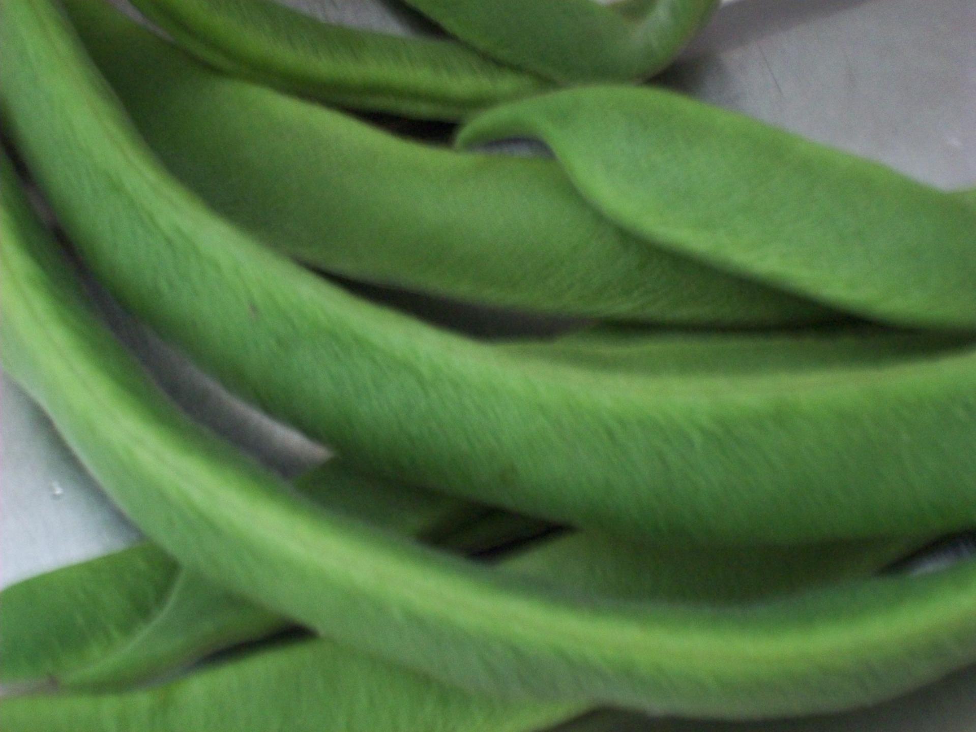 vegetable bean green beans free photo