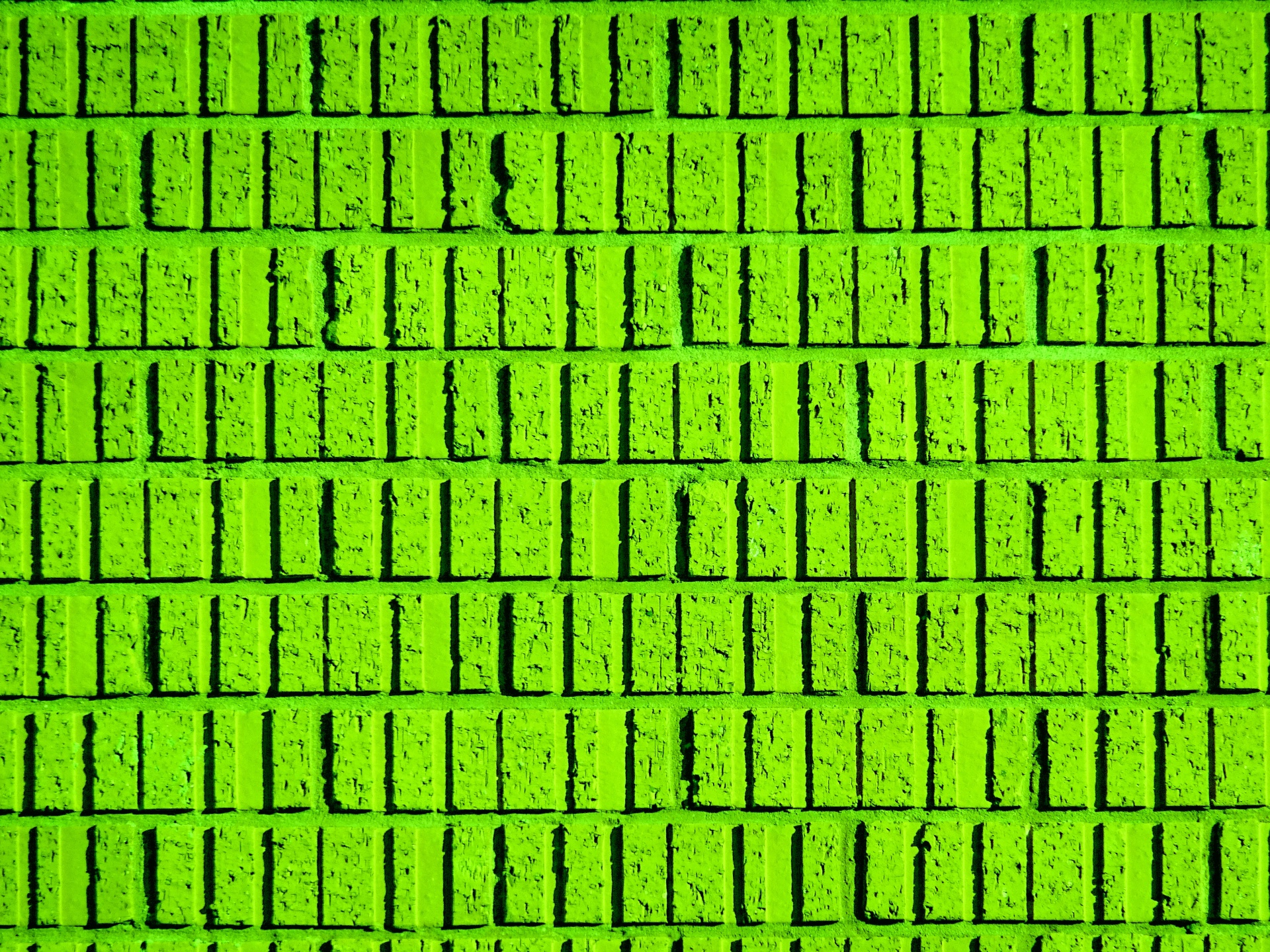 green background web free photo