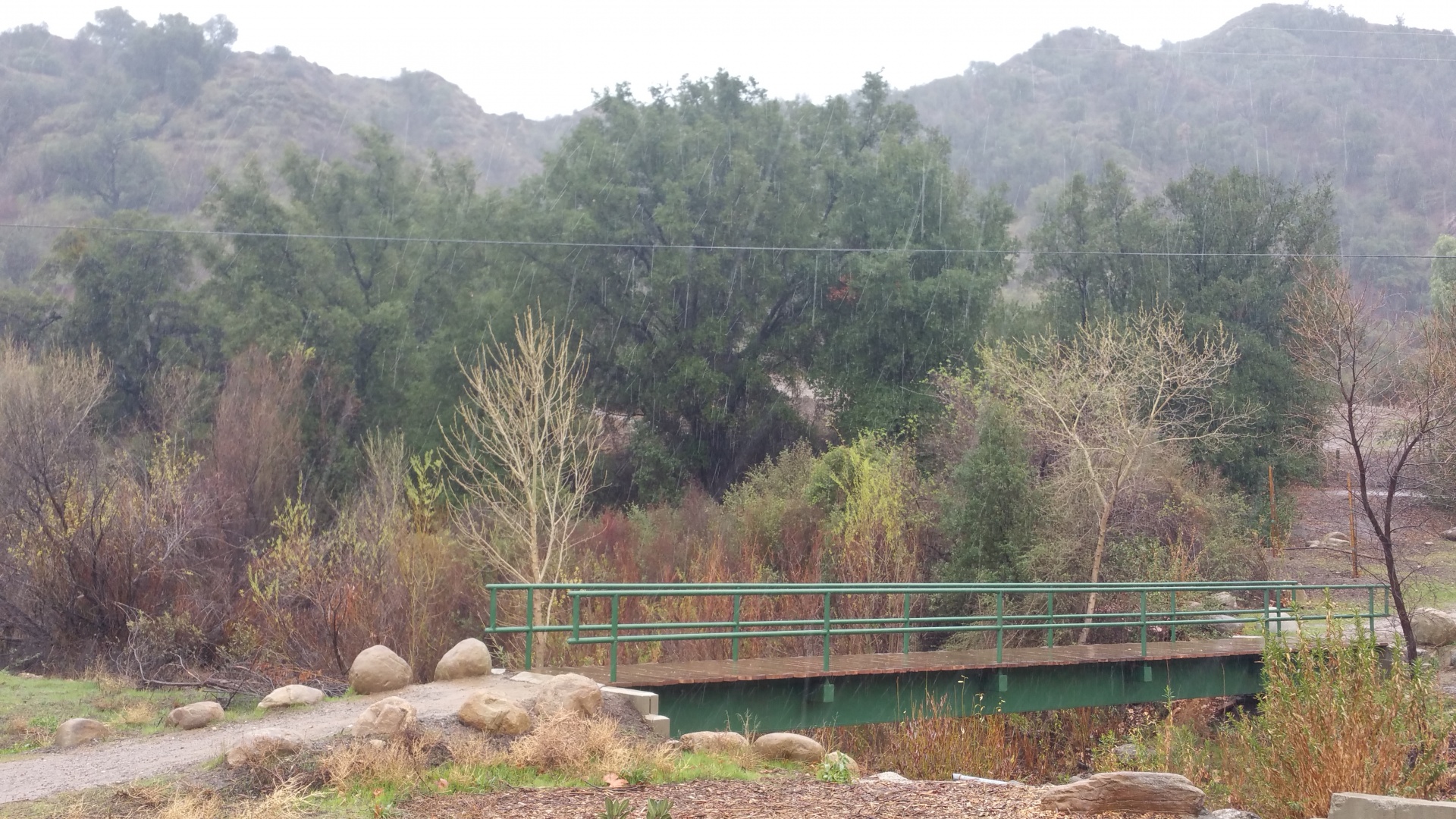 green bridge meadow free photo