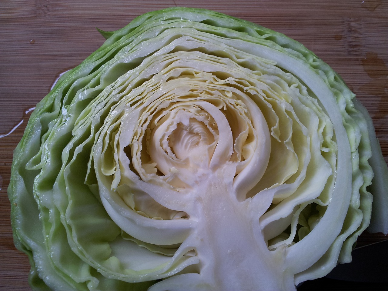 green cabbage half raw cabbage free photo