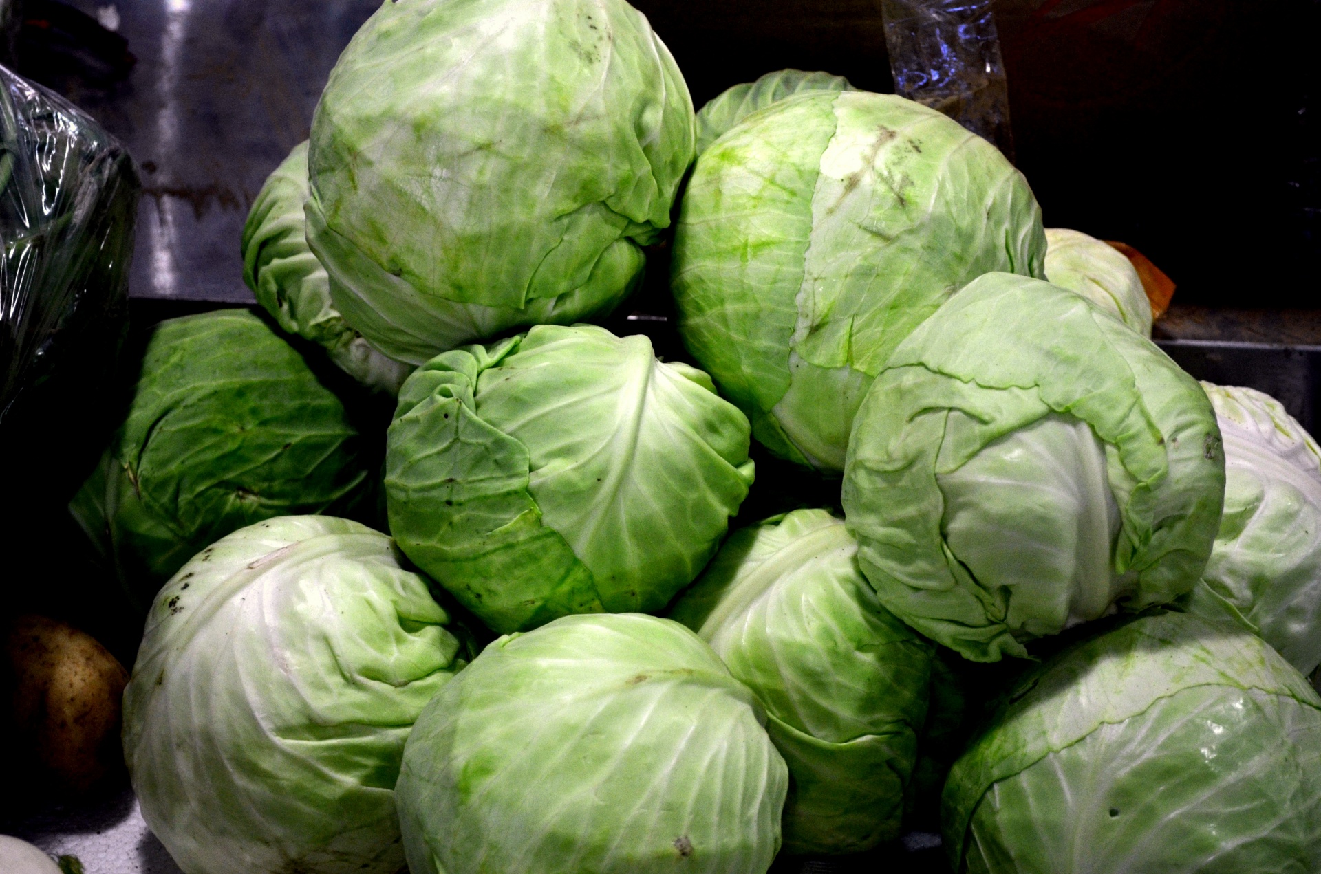 food cabbage green cabbage free photo