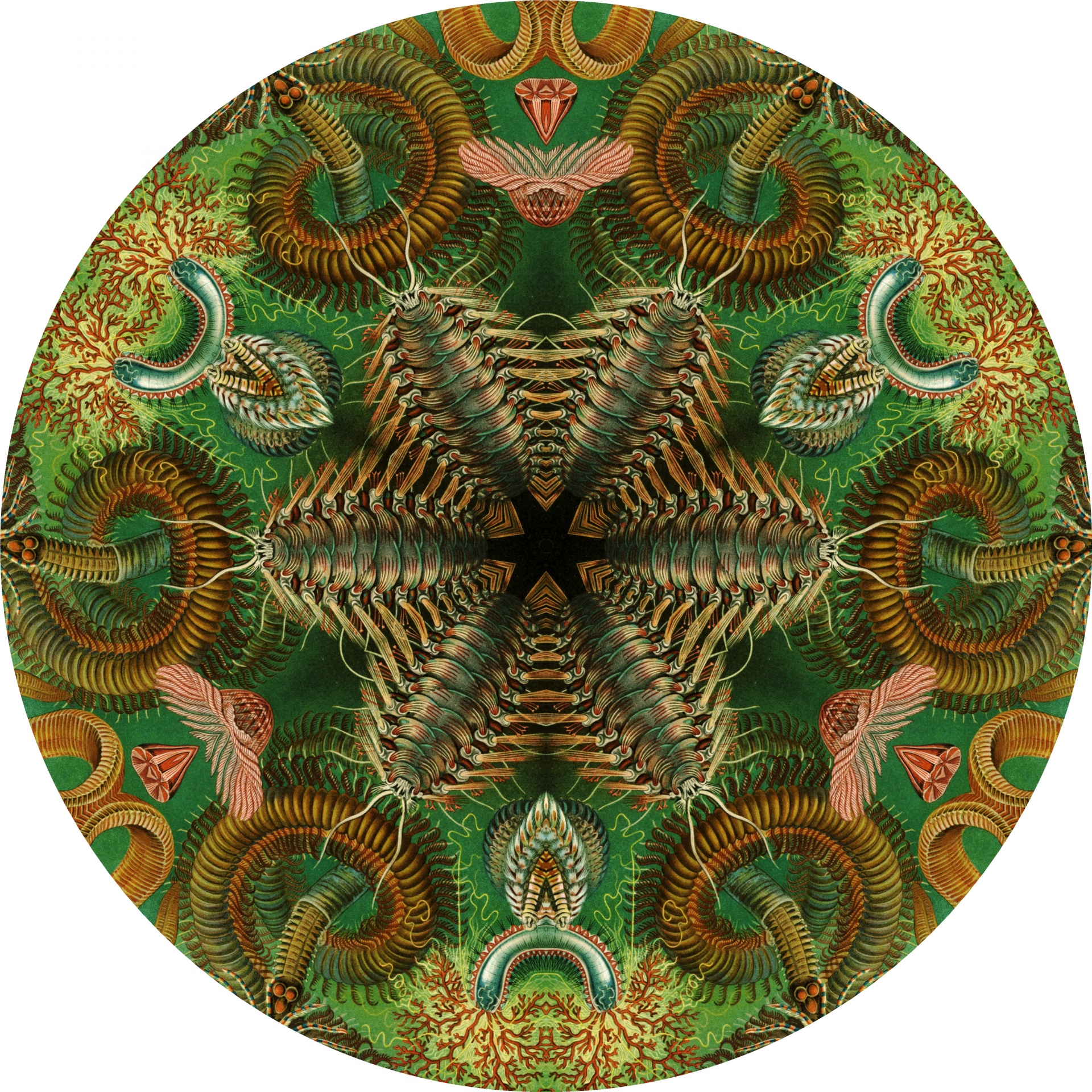 green circle kaleidoscope free photo