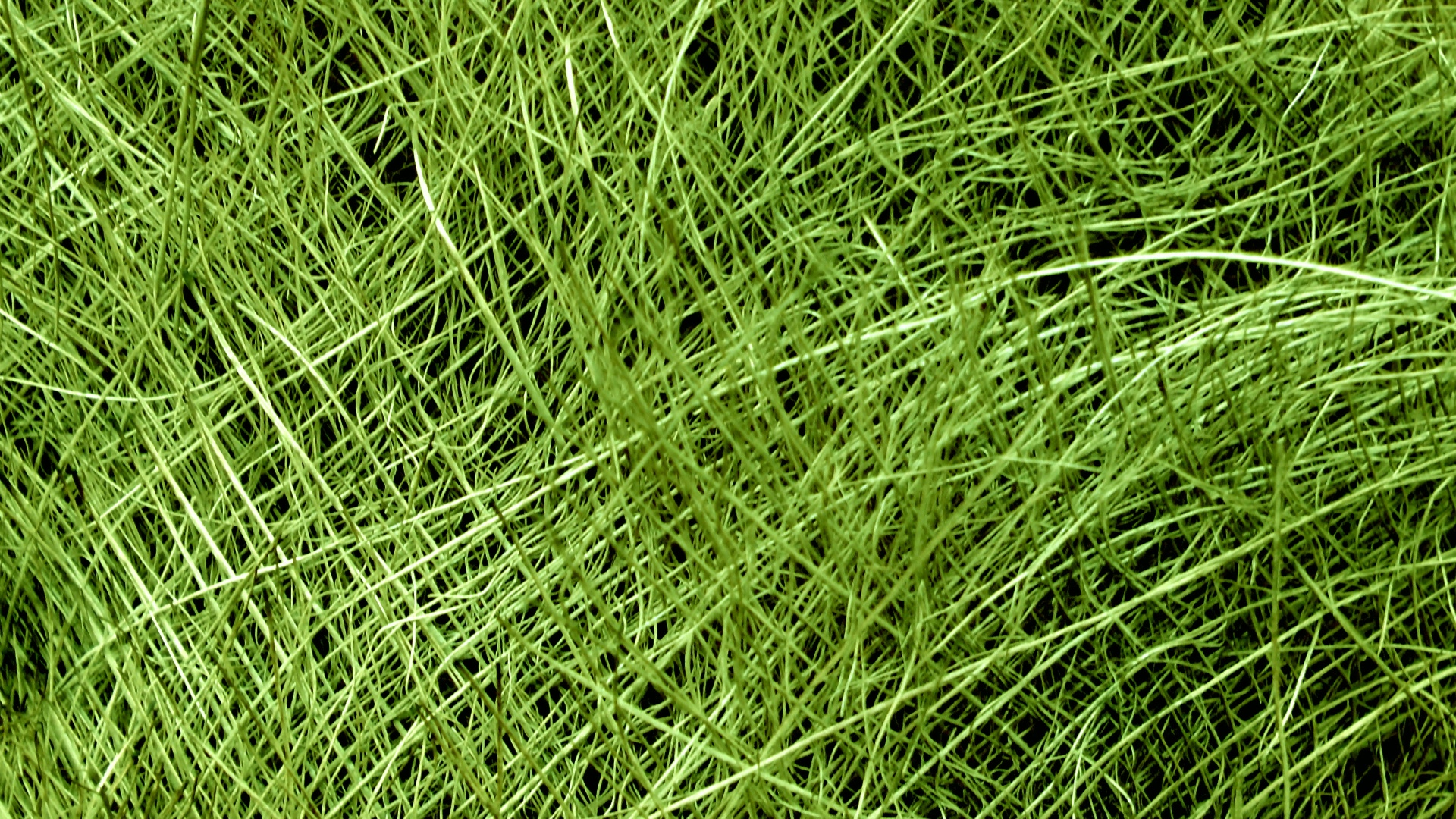 green background web free photo