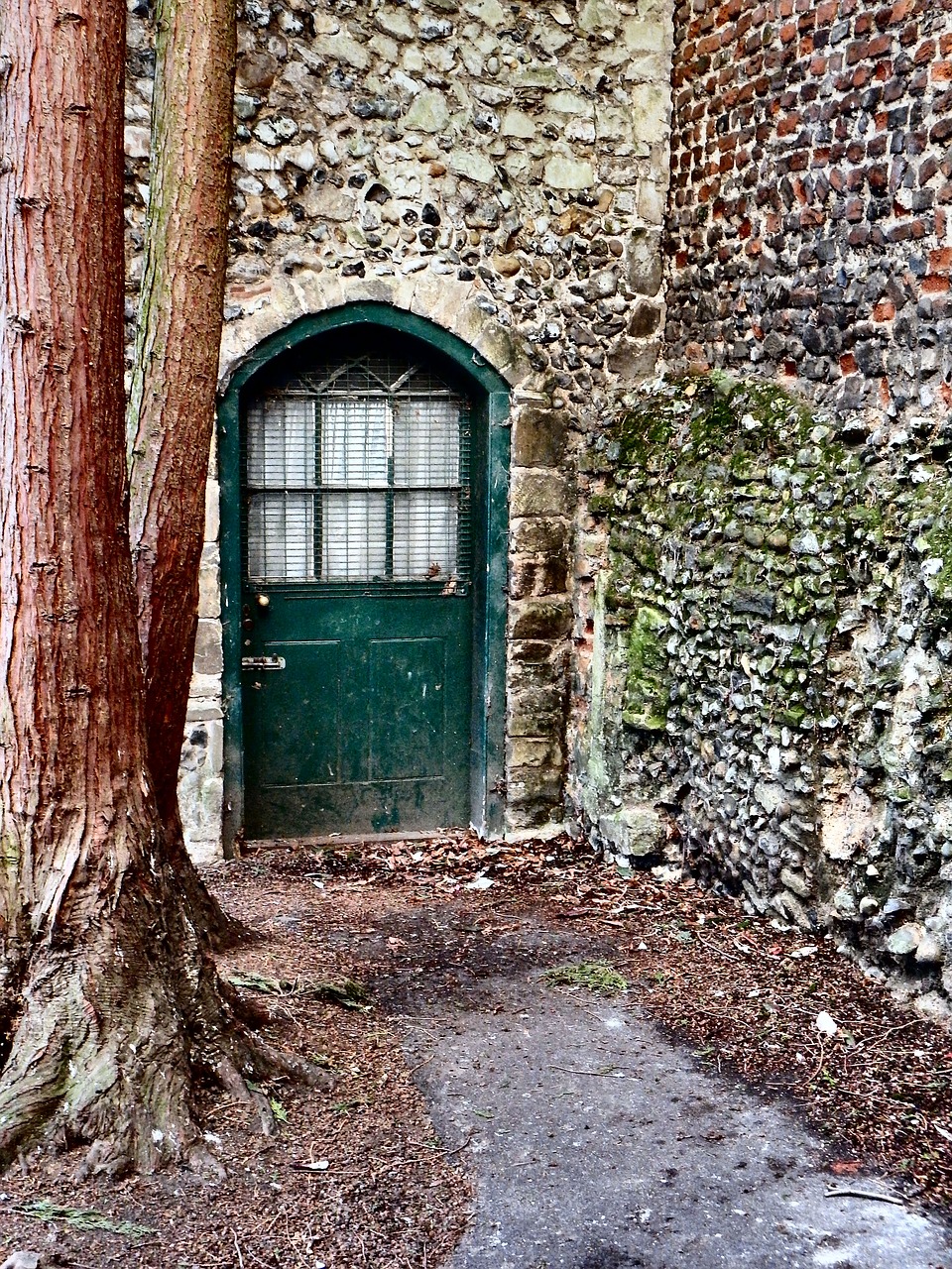 green door old door free photo