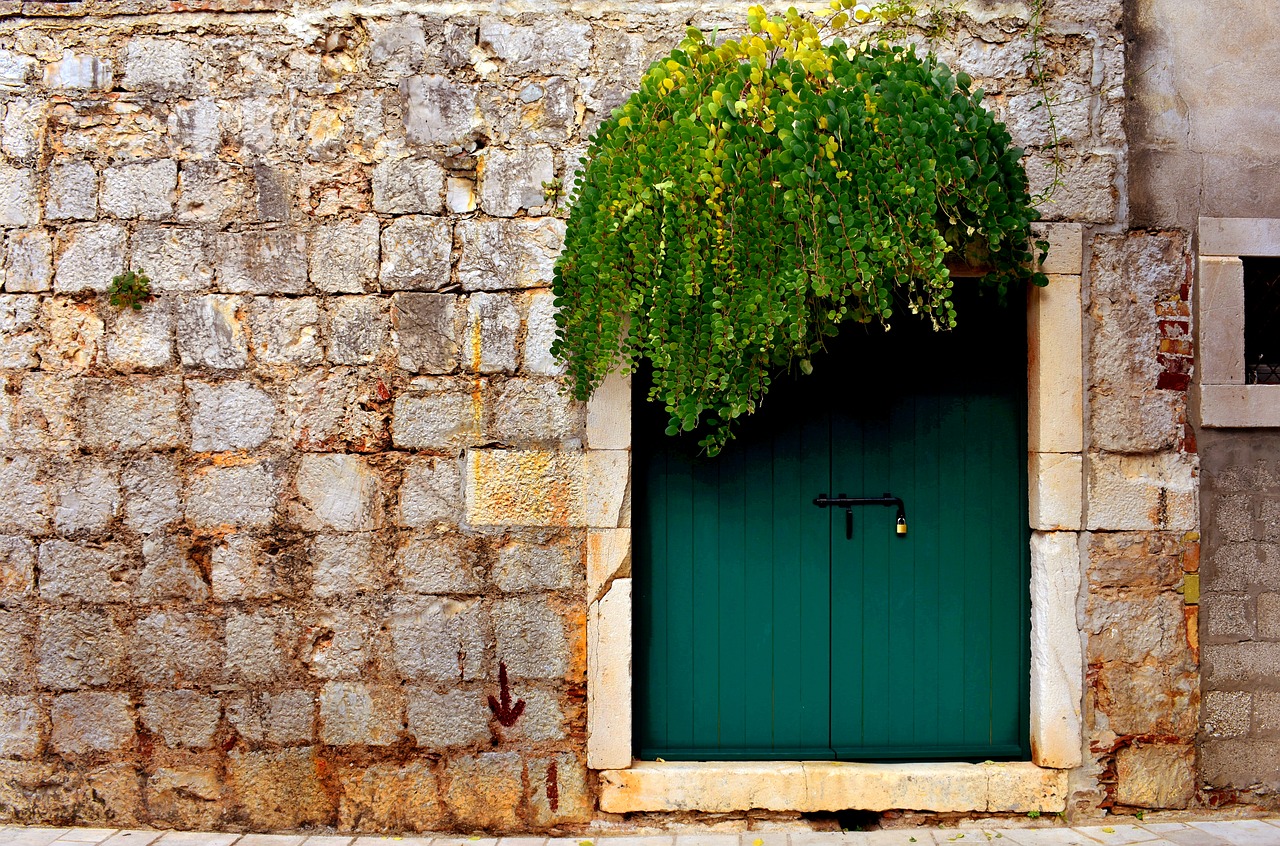 green door  door  green free photo