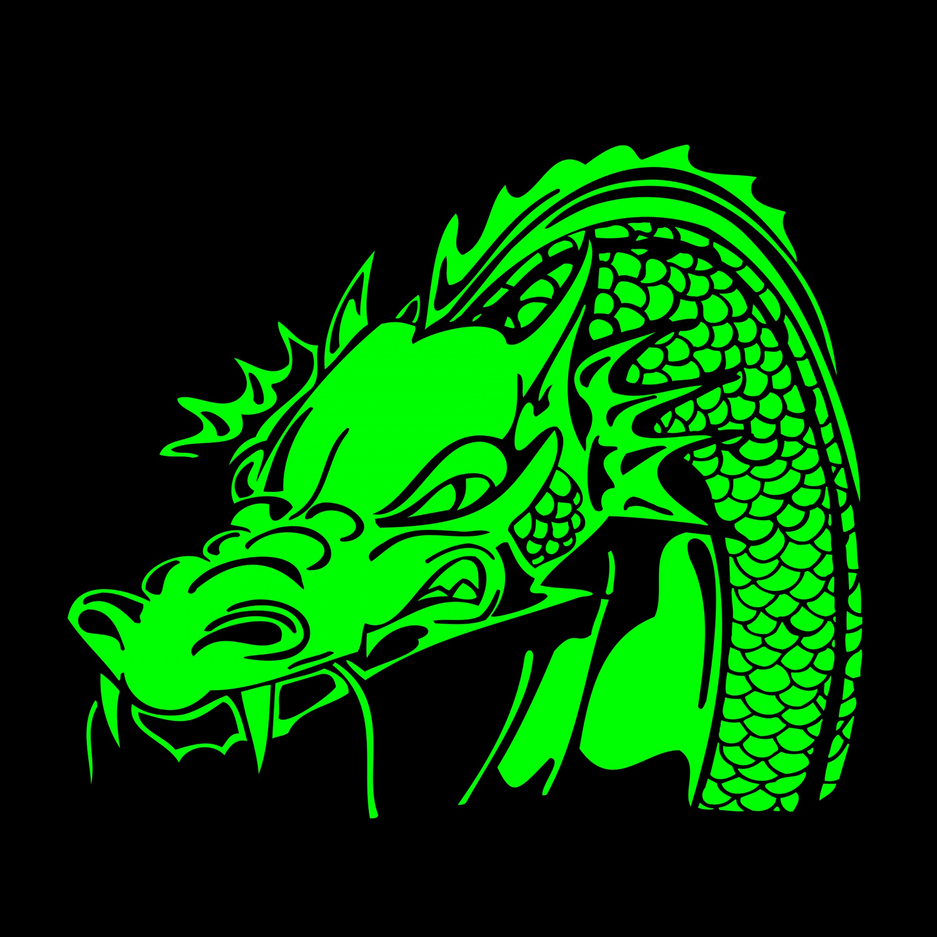 green dragon silhouette free photo
