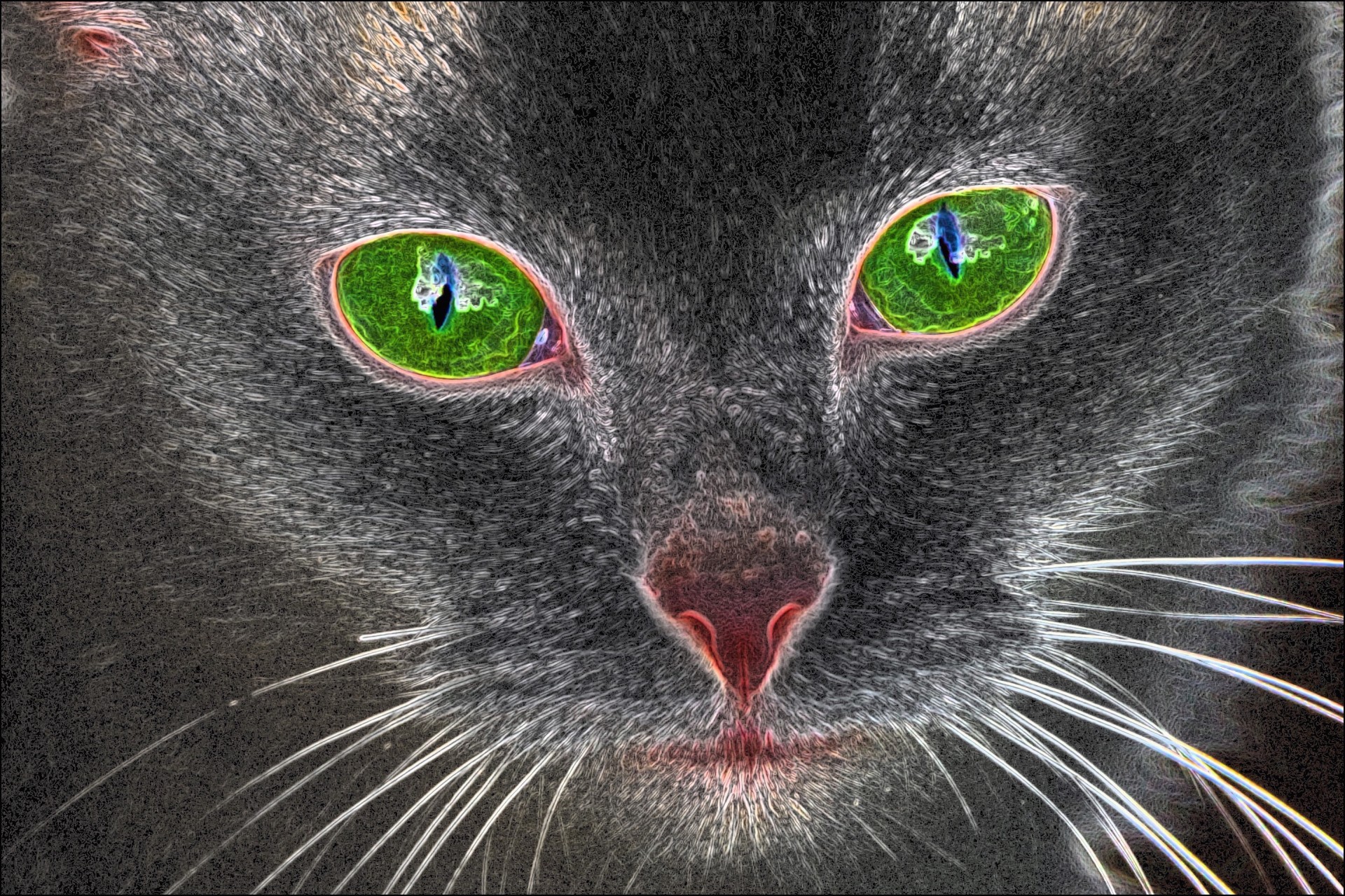 cat cat art green eyed cat free photo