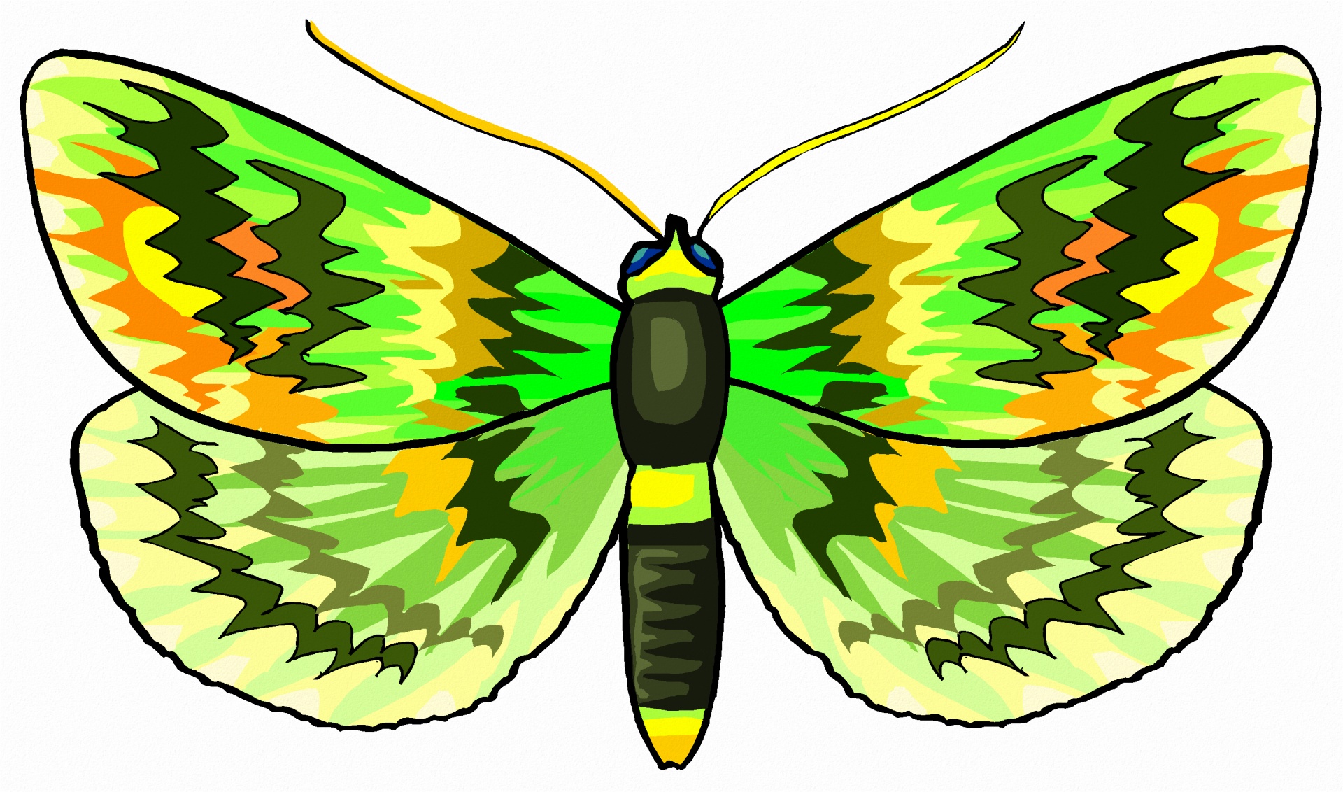 butterfly cartoon green free photo