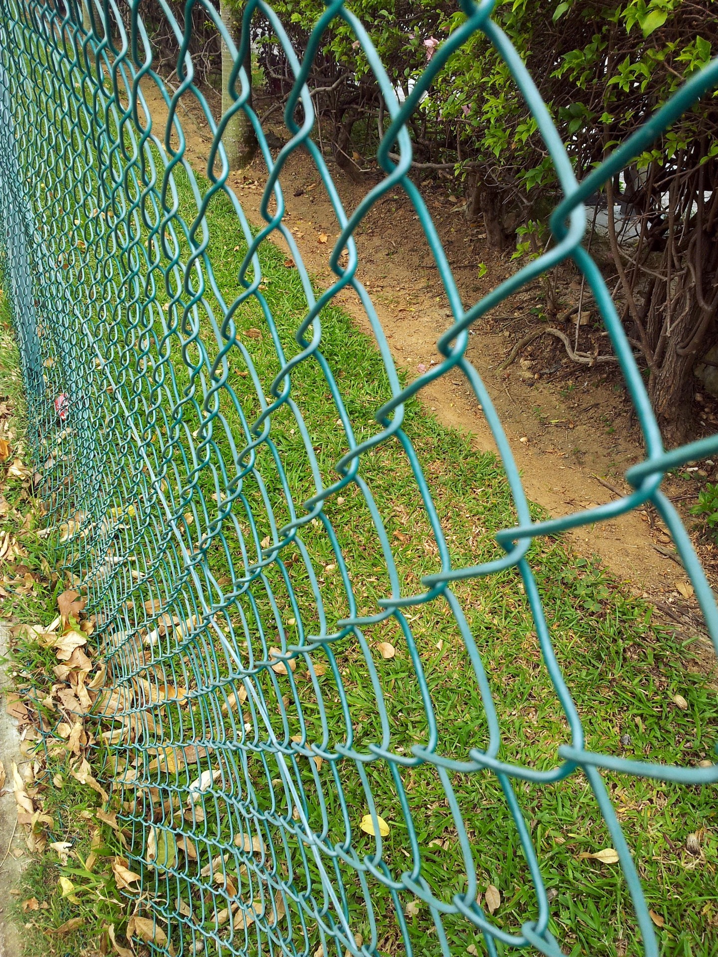 green fence security fence net fence free photo