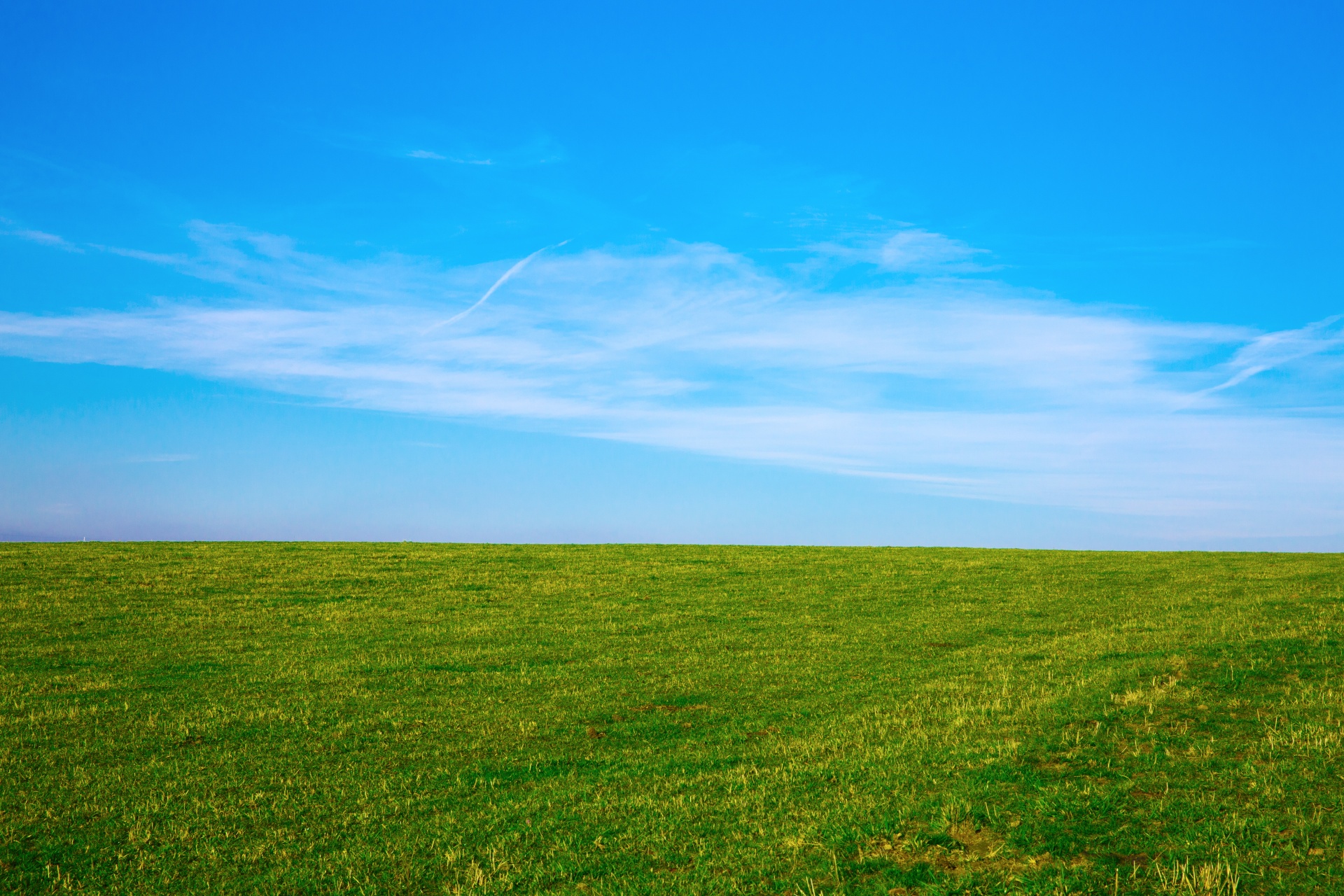Background,blue,cloud,day,field - free image from 