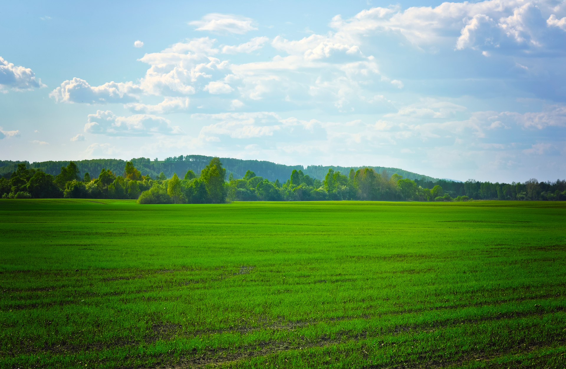 fields green agriculture free photo