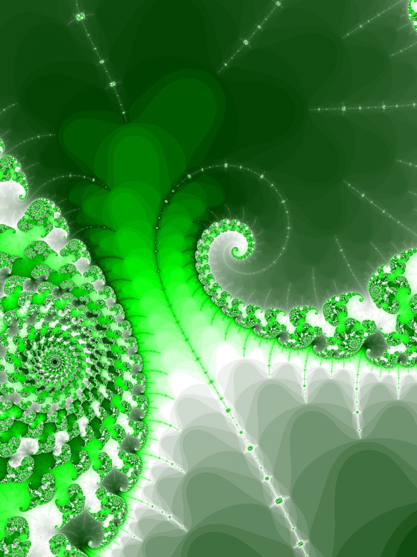 fractal rendering spiral free photo