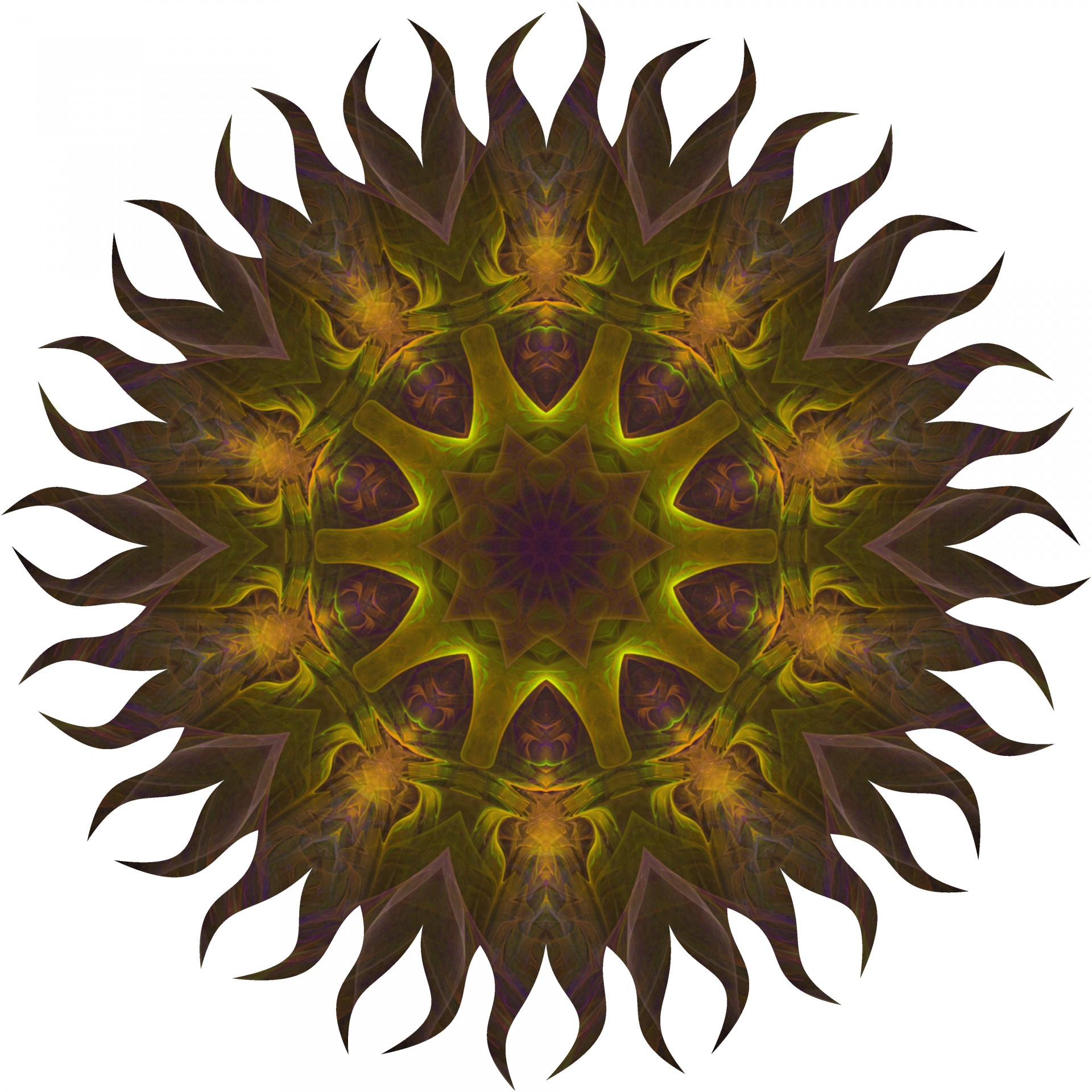 green fractal wheel free photo