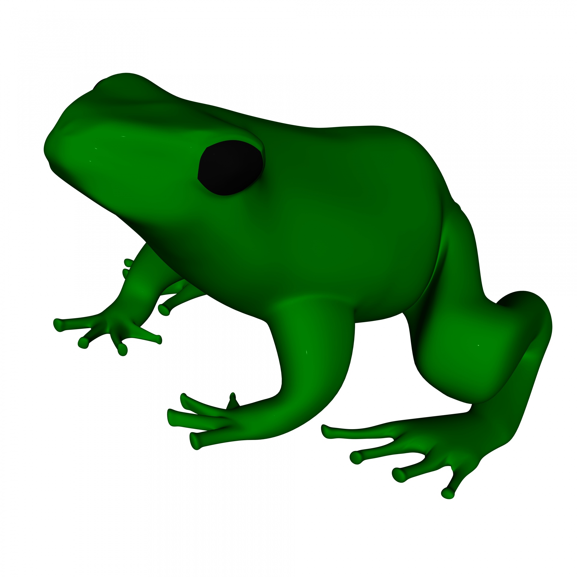 green frog 3d free photo