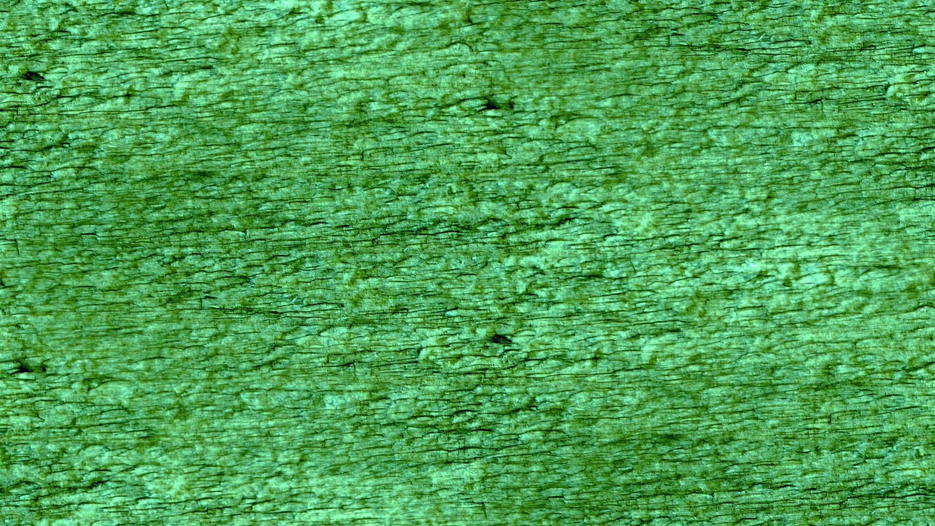 green wallpaper background free photo