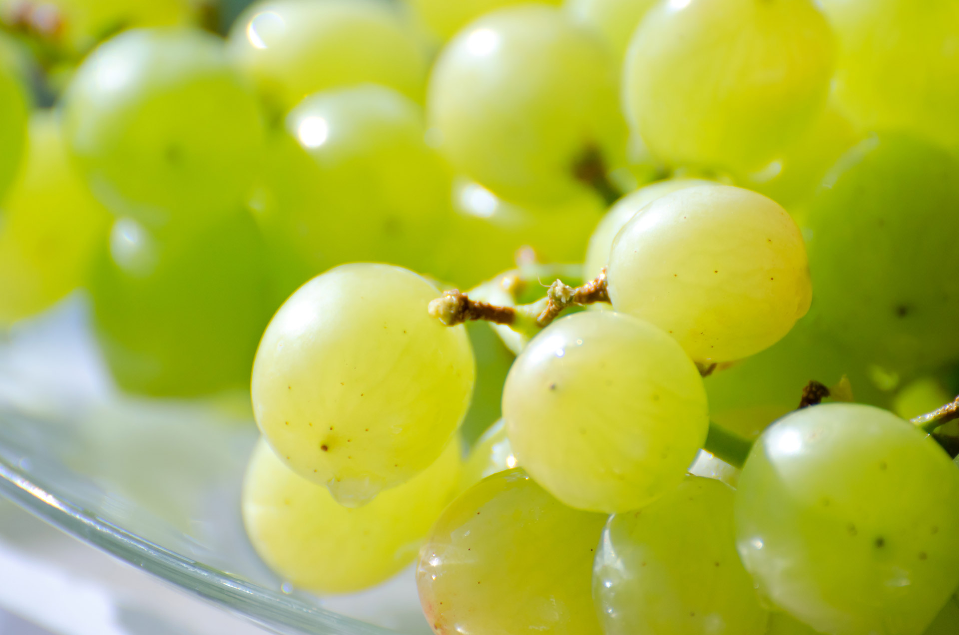 grape green white free photo