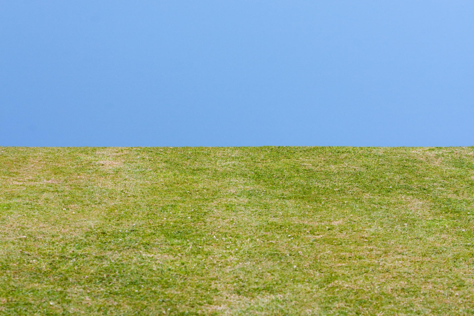 grass sky green grass free photo