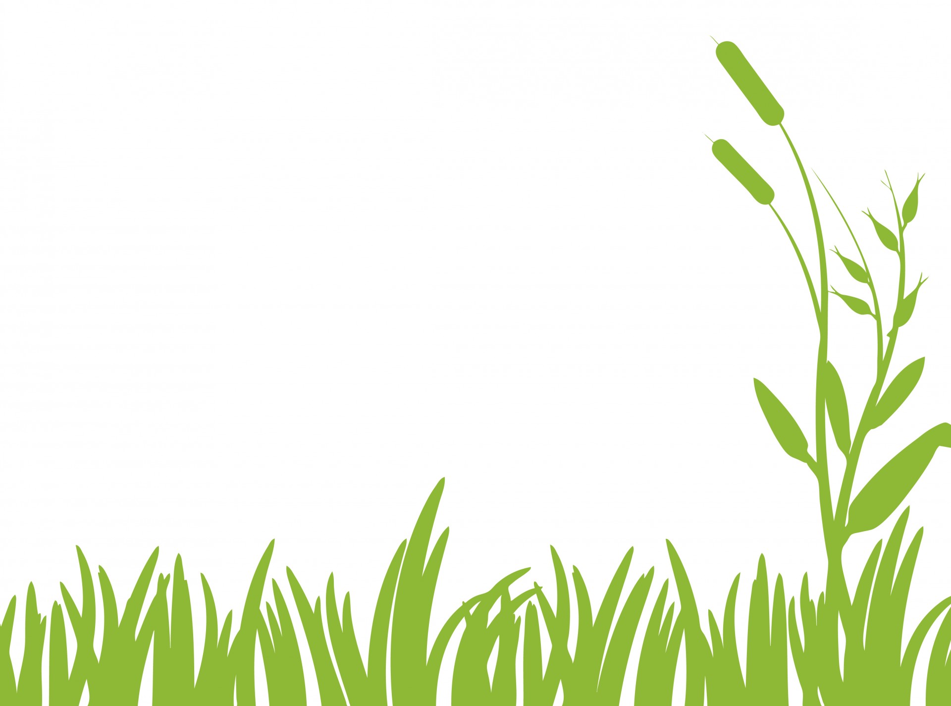 Download free photo of Grass,green,nature,clipart,art from needpix.com