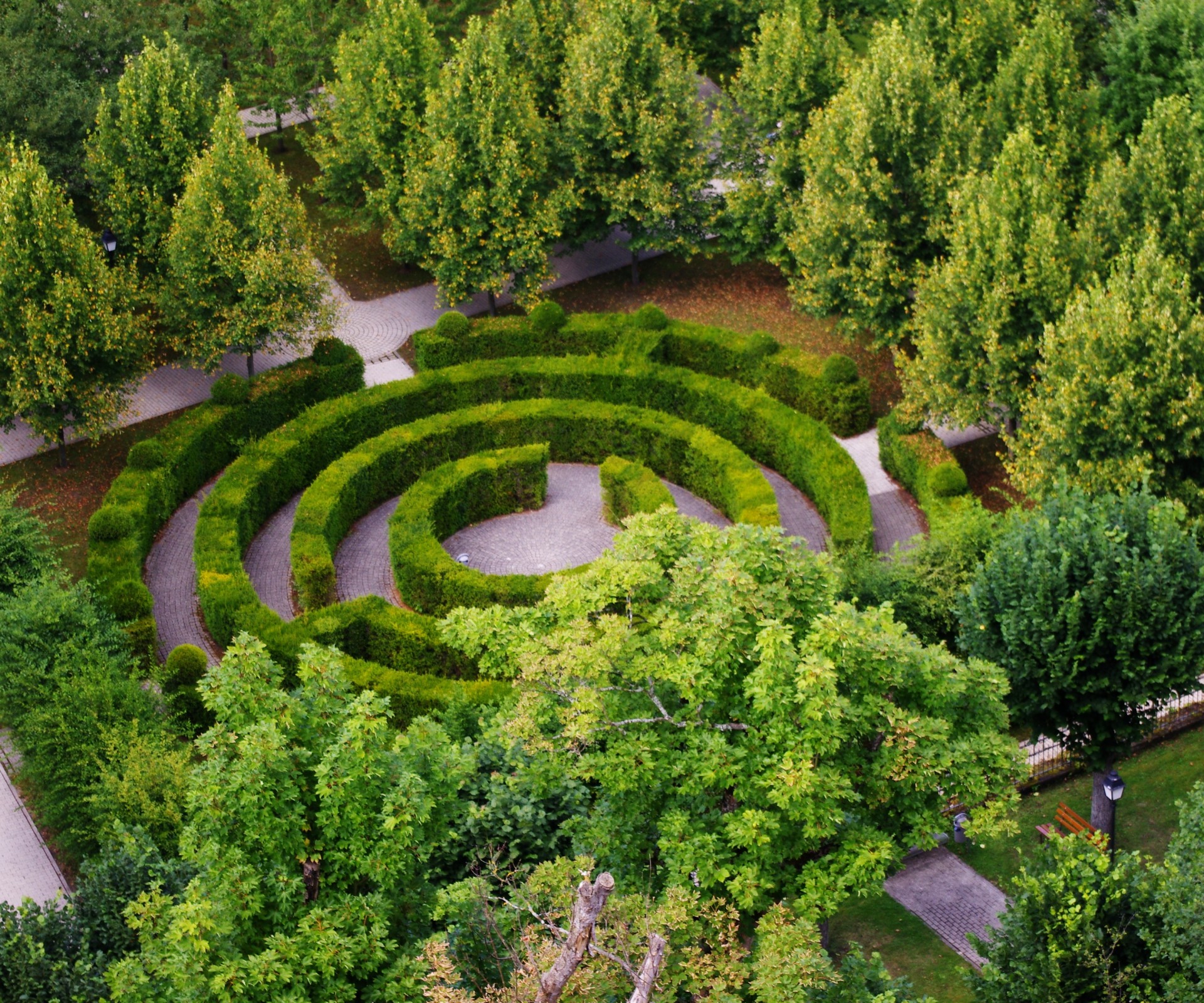 green labyrinth maze free photo