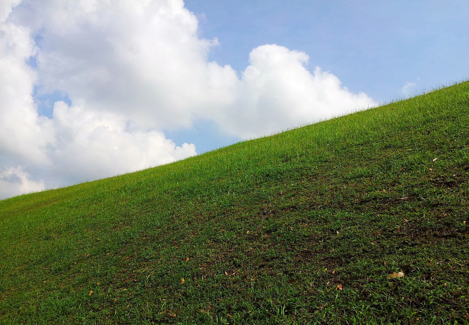 green grass and cloudy sky cloud green land free photo