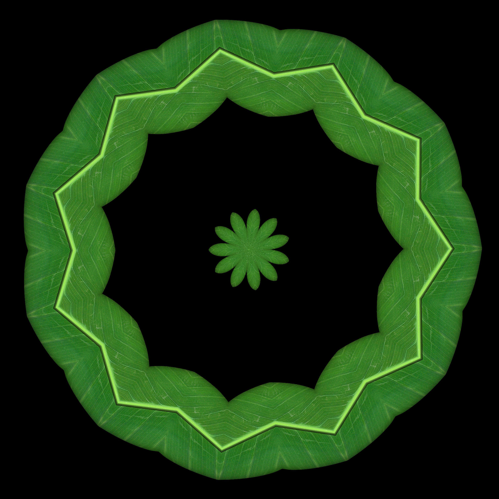 green leaf kaleidoscope free photo