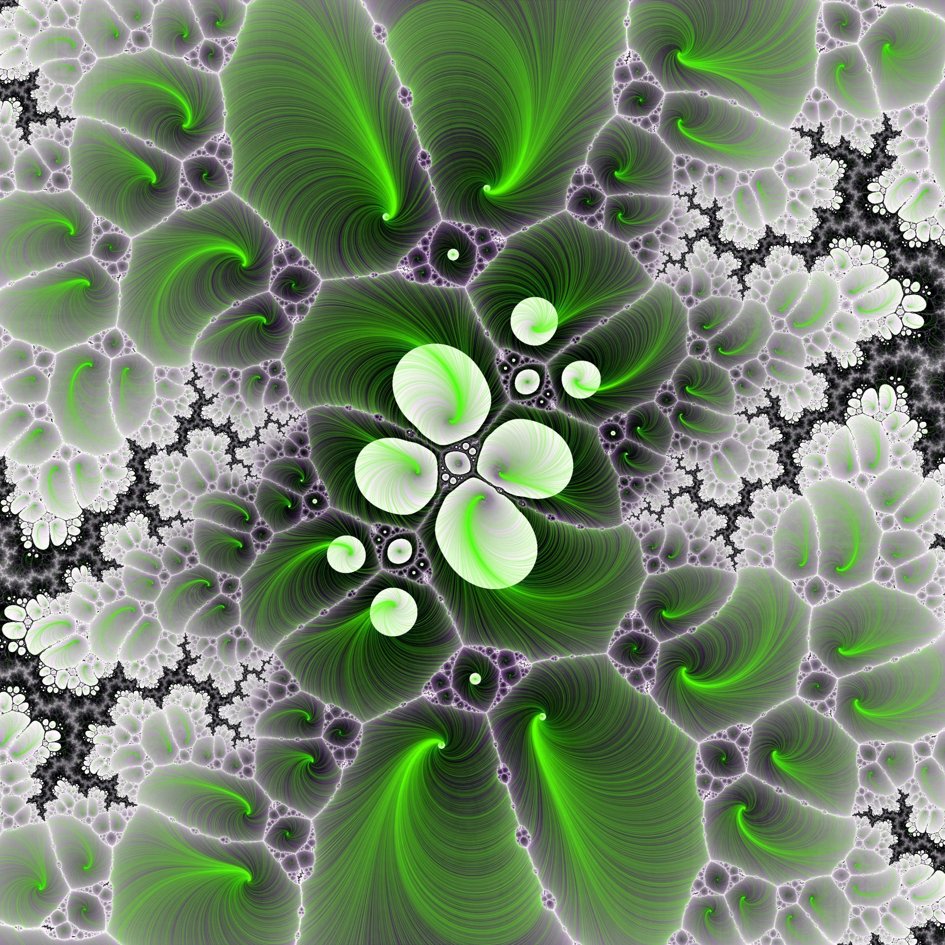 fractal green leaves free photo