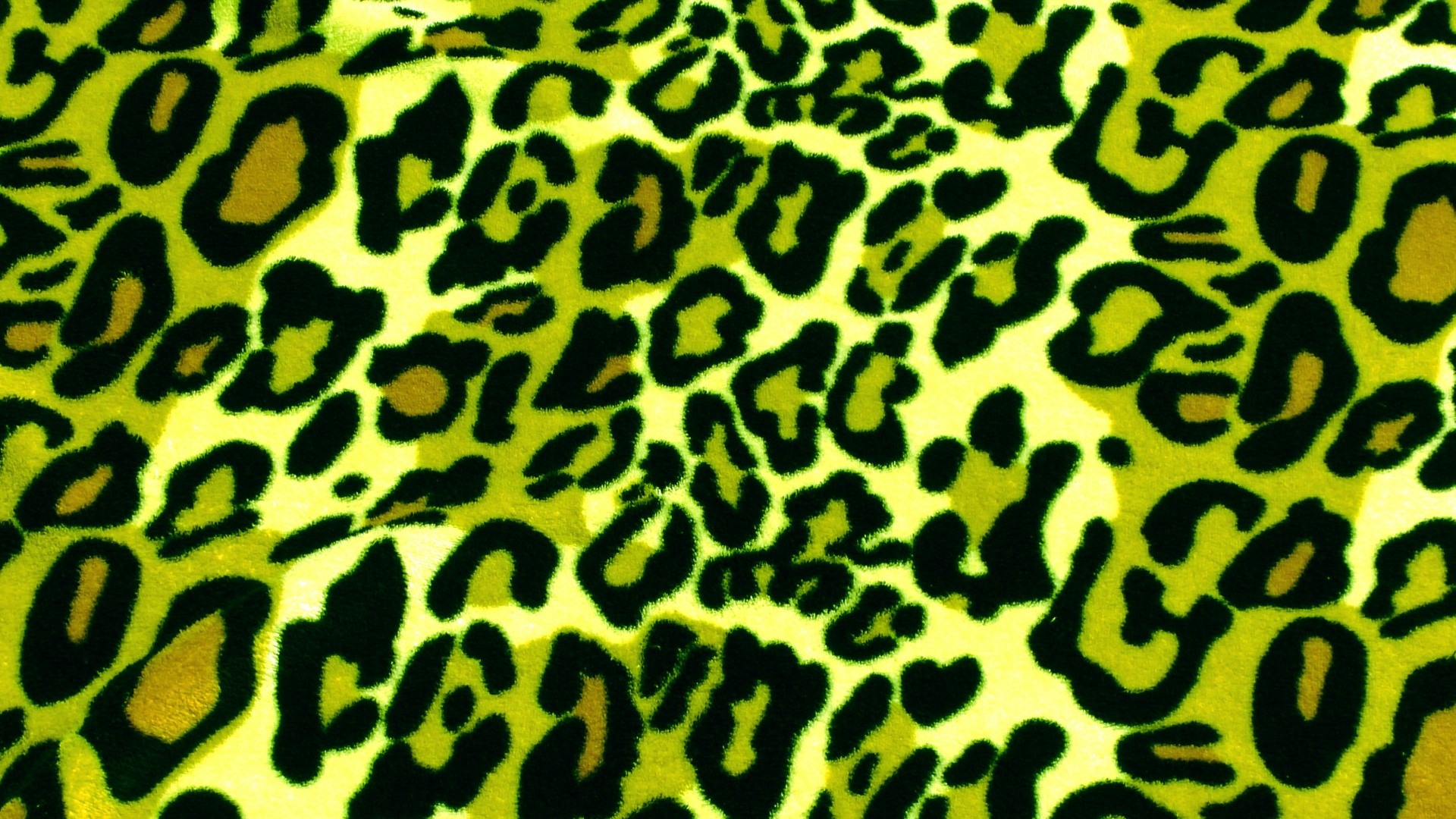 green leopard skin free photo