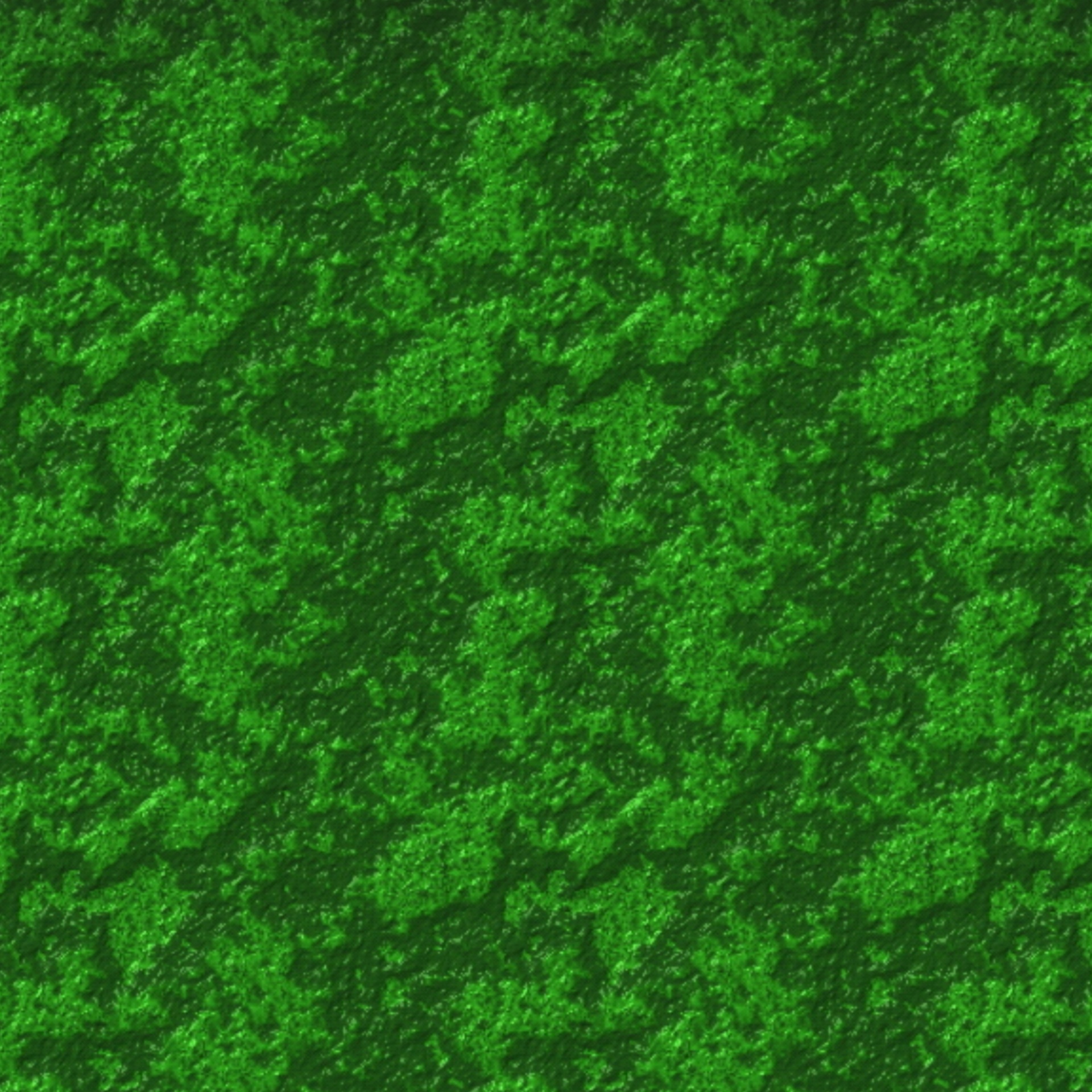 wallpaper green moss free photo