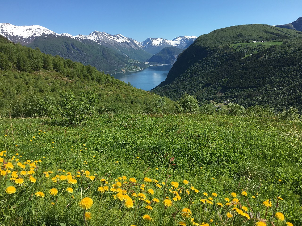 green nuture mountain view free photo