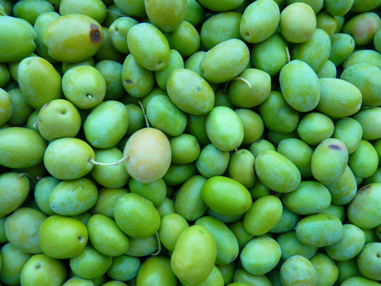 green olives olives immature free photo