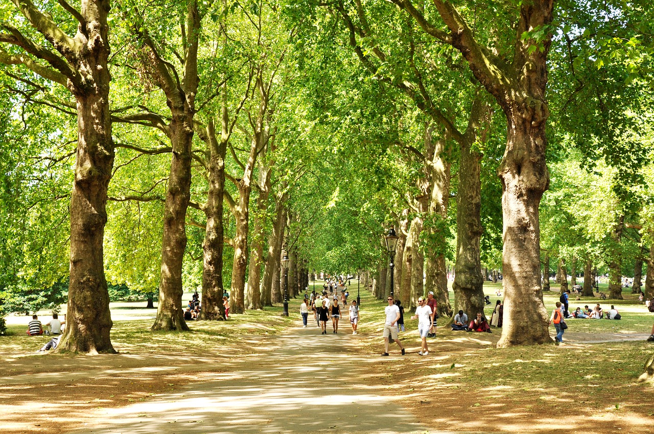 green park london uk free photo