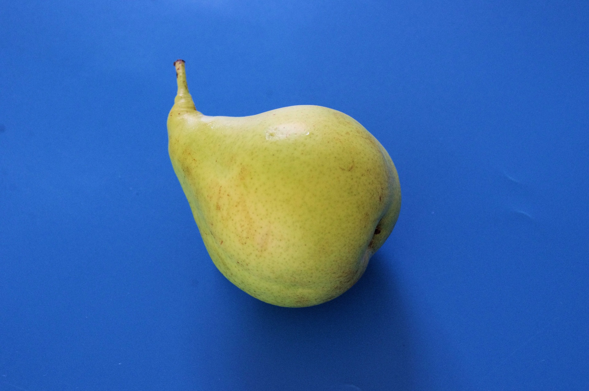 green pear fruit free photo